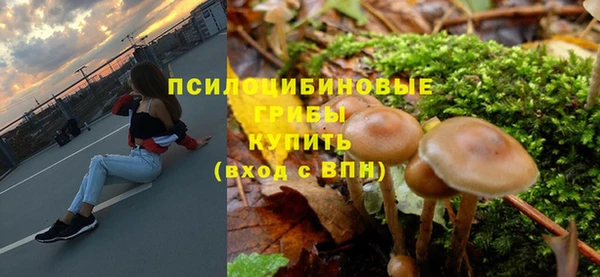 spice Армянск