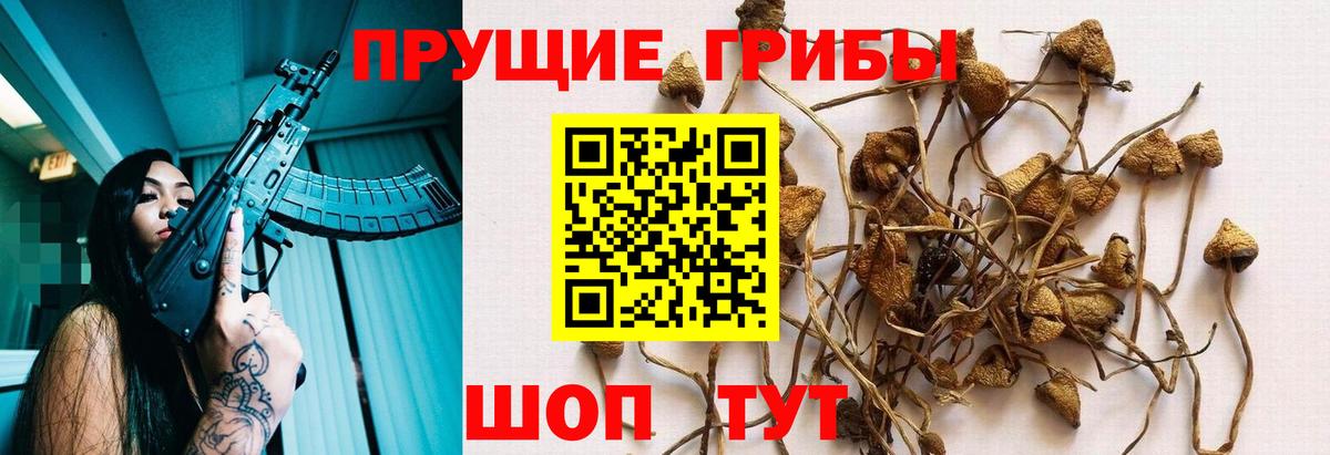 Горячий Ключ  Псилоцибиновые грибы мицелий  Галлюциногенные грибы мицелий  Вход с VPN 